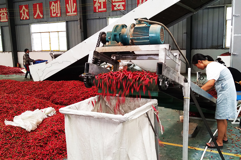 網帶式辣椒烘干機用戶現(xiàn)場